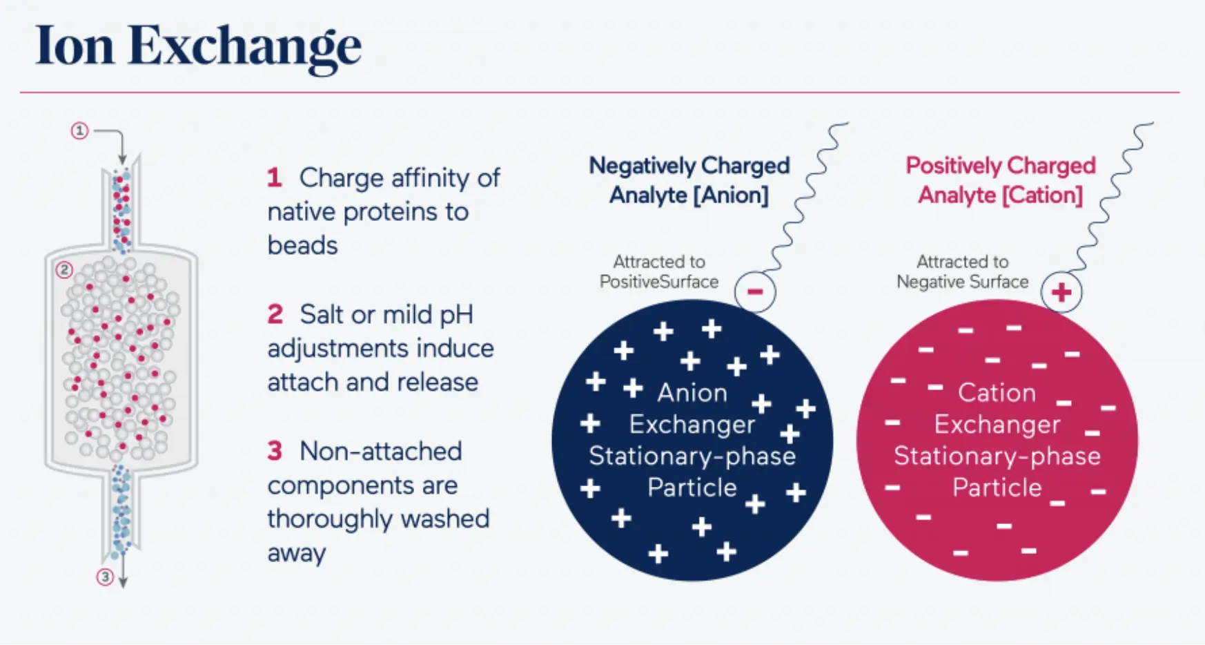 Schéma procesu iontové výměny během procesu výroby syrovátkového proteinu.