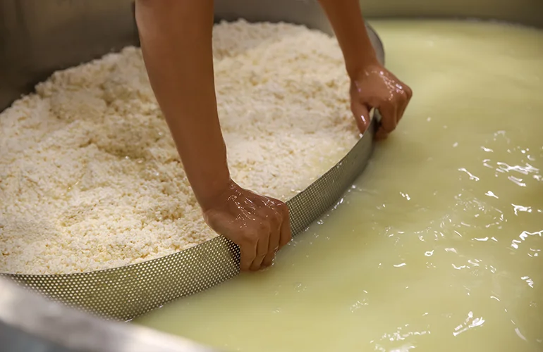 Separace pevných částí kaseinu a tekuté syrovátky během procesu výroby sýrů a syrovátkových proteinů.